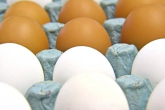 Gripe aviária e demanda internacional devem manter preço dos ovos elevado