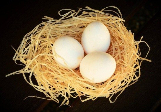 Imagem de congerdesign por Pixabay

