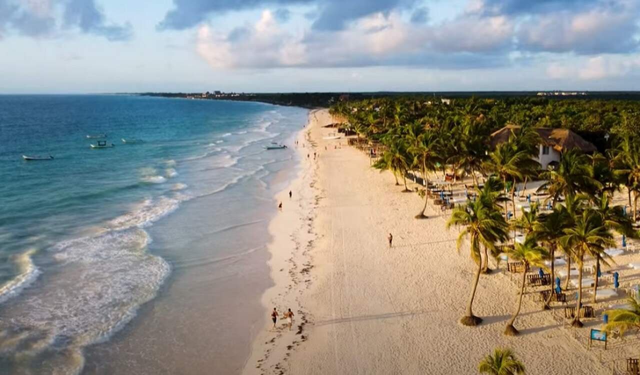 A origem do charuto é envolta em mistério, mas acredita-se que o cultivo do tabaco começou na província de Yucatán, no México, pelos maias.