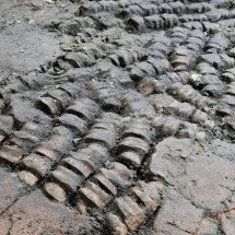 "Chão de ossos" encontrado na Holanda intriga os arqueólogos - Divulgação/Equipe de arqueologia do Município de Alkmaar