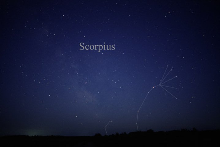 Escorpião (23/10 a 21/11) - Elemento água.  Outono no hemisfério norte e primavera no hemisfério sul. Características:  Intensidade, otimismo, questionamento, coragem, lealdade, teimosia. 