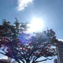 BH terá calorão e clima de deserto nesta quinta (11/9) - Jair Amaral/EM/D.A.Press