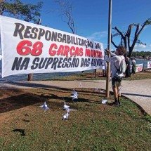 ‘Quem mandou matar as garças?', protesto em cidade mineira quer respostas - Carlos Altman/EM