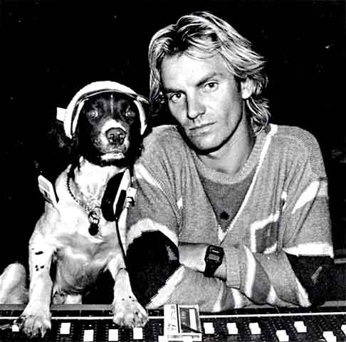 Sting é o nome artístico de Gordon Matthew Thomas Sumne, nascido em 02/10/1951 na cidade inglesa de Wallsend, na Inglaterra. 

- Instagram @theofficialsting