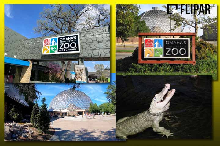 A ocorrência serviu para o local reforçar um alerta:  “Os turistas não devem jogar moedas em nenhum corpo d’água do zoológico”, ressaltou o estabelecimento em comunicado. 
