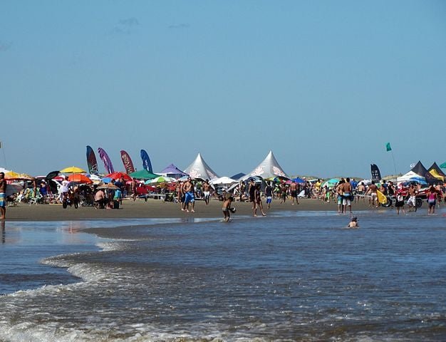 No Sul do Brasil, várias praias registram ocorrências de águas-vivas. Uma delas é a Praia do Cassino, que aparece no topo das listas das maiores praias do mundo, pois tem incríveis 245 km de extensão. 