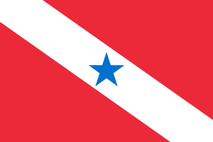 Pará (PA) - Adoção: 16 de novembro de 1889. Representação: A faixa branca simboliza o Rio Amazonas, o vermelho a luta, e a estrela Belém, capital do estado.
