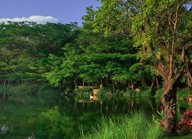 O espaço do resort ocupa uma área de 19 hectares, com mais de 30.000 árvores e uma série de lagos. O maior deles, chamado de 