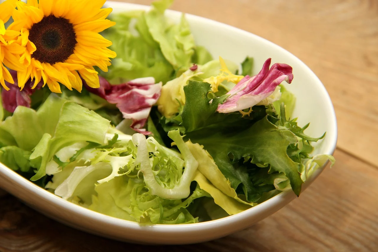 Um dos principais pratos em que a alface está inserida é a tradicional salada. Ao lado de outras verduras e hortaliças, ela traz uma combinação perfeita, refrescante e nutritiva para o consumidor.