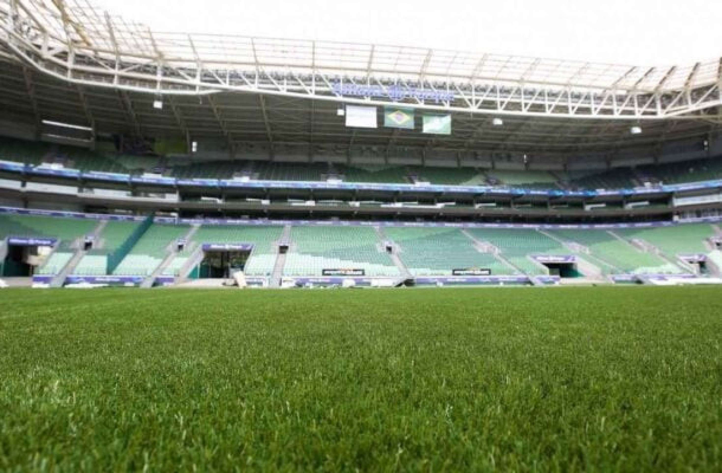 Palmeiras emite comunicado em defesa do gramado do Allianz, após manifesto
