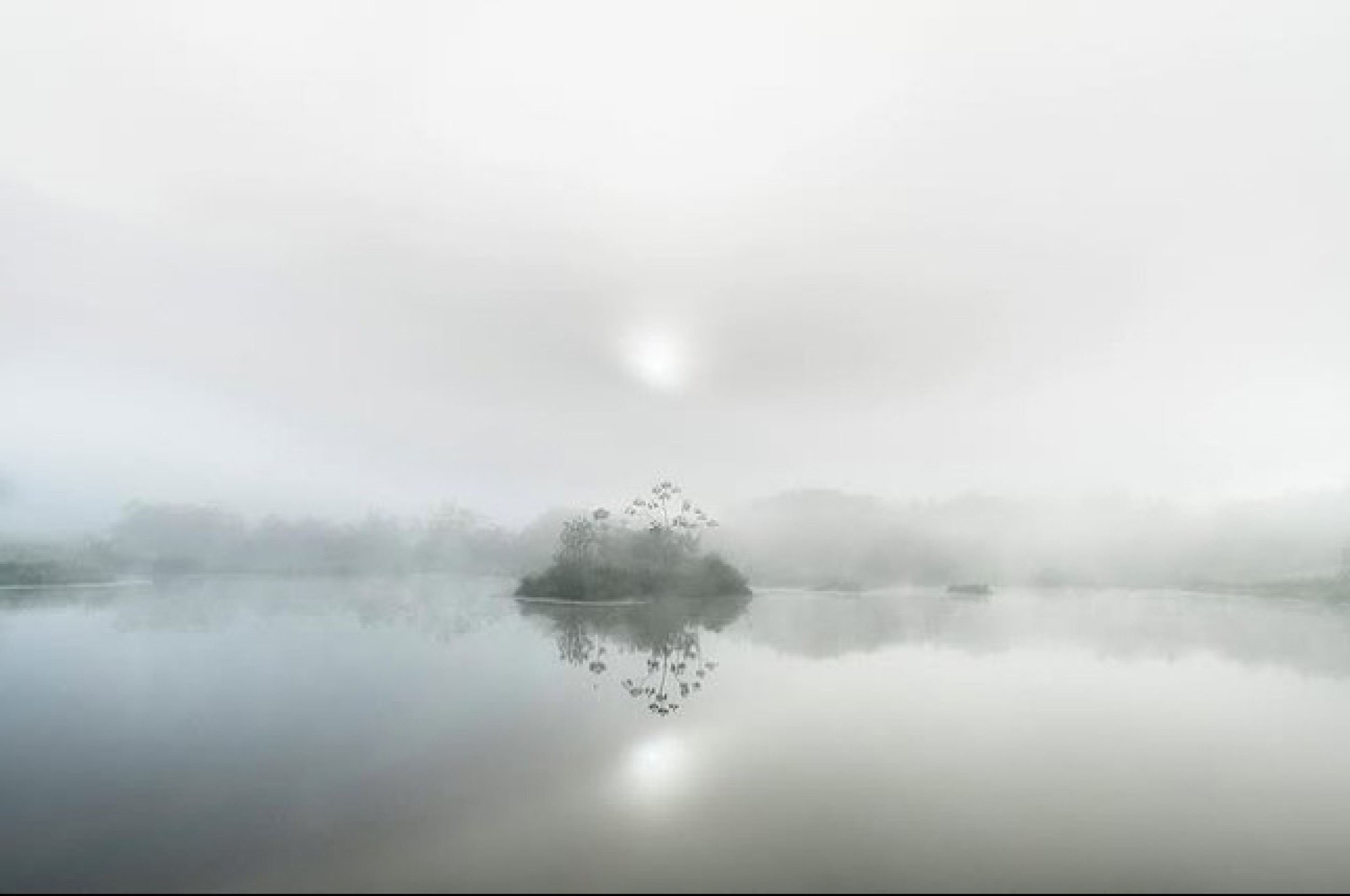 Paisagem, por Daniel Mansur