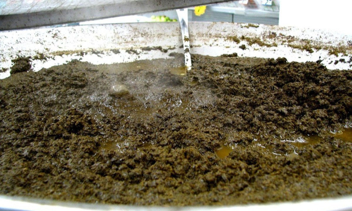 Mani&ccedil;oba: Conhecida como "a feijoada paraense", &eacute; feita com folhas de mandioca brava trituradas (maniva), cozidas por at&eacute; sete dias. Mistura carnes salgadas, defumadas e frescas, sendo servida com arroz e farinha. Calorias: cerca de 250 kcal.