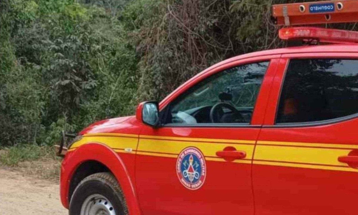 De acordo com o Corpo de Bombeiros, ambas as crian&ccedil;as apresentavam escoria&ccedil;&otilde;es generalizadas e traumatismo cranioencef&aacute;lico (TCE) -  (crédito: CBMMG)