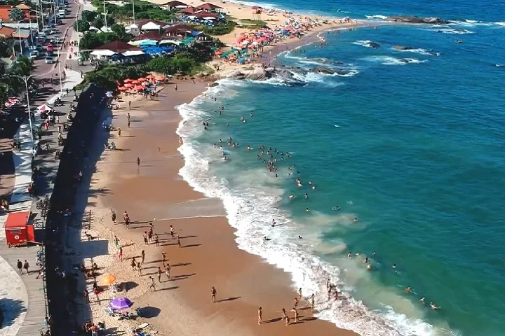 Apesar do ocorrido, a Praia da Baleia continuou aberta ao público, com recomendações para que os banhistas tivessem atenção. A seguir, conheça mais sobre o peixe-espada!