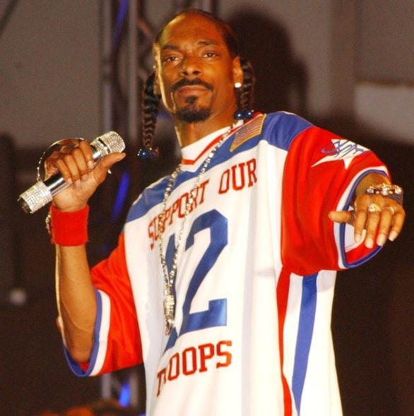 Descoberto pelo lendário Dr. Dre, Snoop se tornou uma das maiores estrelas do gênero, com um estilo único marcado por suas rimas suaves, flow relaxado e letras que retratam a vida nas ruas.-pixabay
