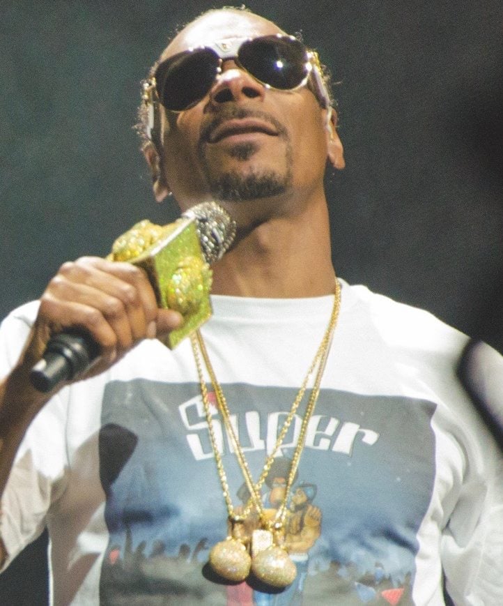 Nascido em Long Beach, Califórnia, em 1971, Snoop Dogg iniciou sua carreira musical ainda jovem, influenciado pela rica cena hip-hop da Costa Oeste dos Estados Unidos.

-flickr/The Come Up Show