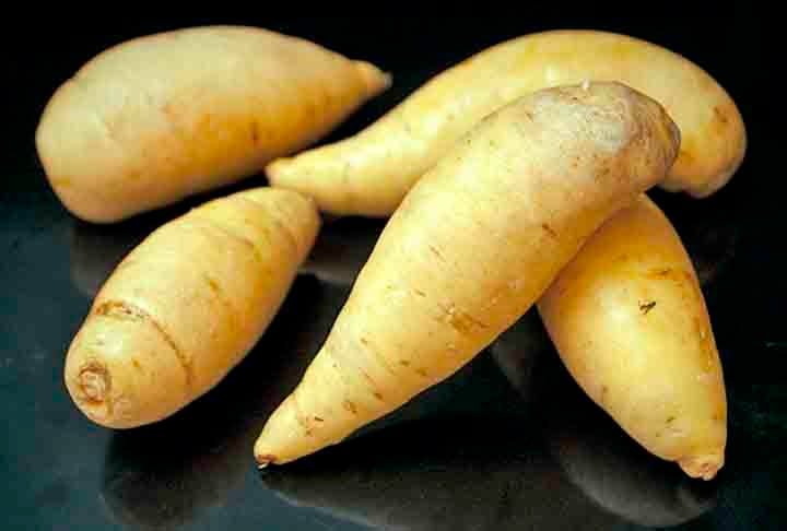 A batata-baroa ou mandioquinha é um tubérculo com inúmeras vantagens para a saúde. Fonte de carboidratos complexos e ideal para o pré-treino, podendo substituir a batata-doce, por ser um alimento altamente energético.