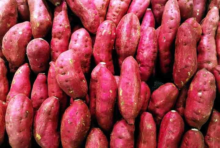 Rica em vitamina C, betacaroteno e antocianinas, a batata-doce tem ótima ação antioxidante no organismo, fortalecendo o sistema imunológico e prevenindo doenças como gripes e resfriados, além de melhorar a cicatrização de feridas.