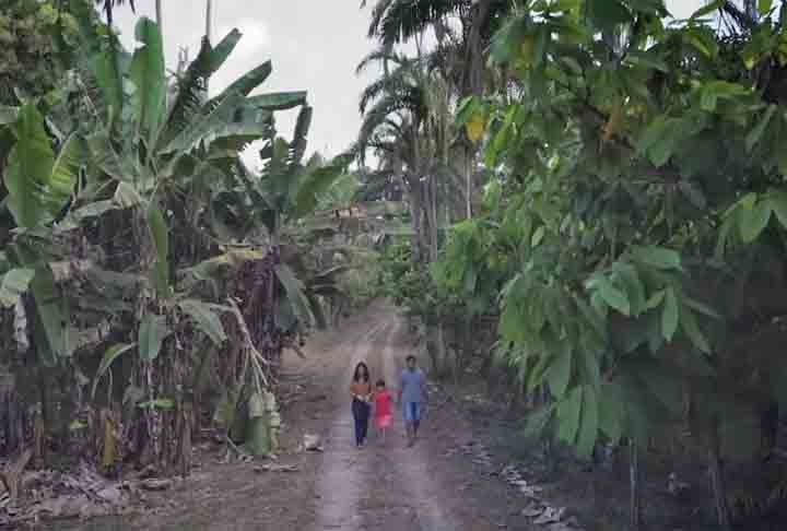 Na fazenda em que vive Michinori Konagana, há 230 hectares de terra cultivada com produção diversa: amêndoa, açaí, cupuaçu, melancia, melão e outras frutas, além de madeira e óleos vegetais. 