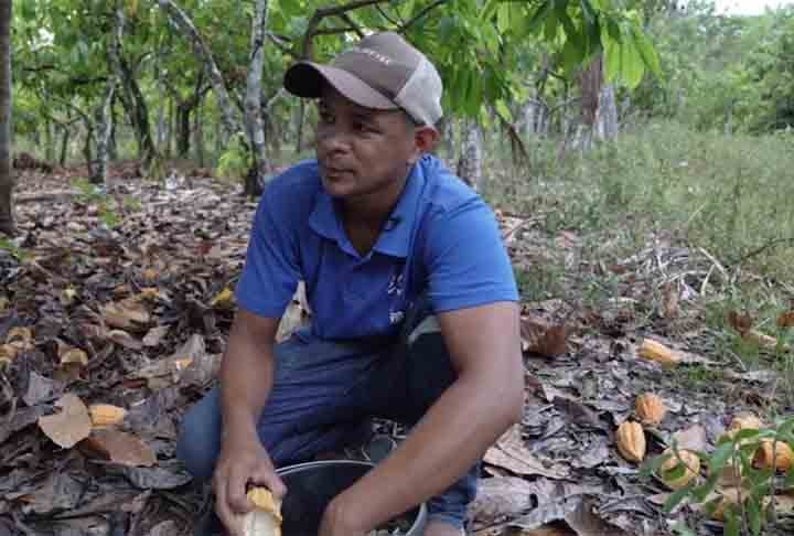 O método ajuda a recuperar áreas desmatadas e passou a atrair agricultores brasileiros e de outros países que desejam aprender as técnicas para reproduzi-las em outros lugares. 