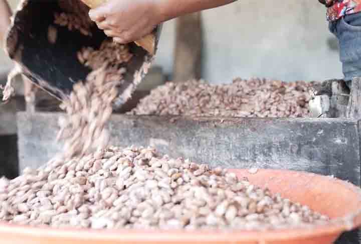 Com mais de cinco mil agricultores, a cidade tornou-se uma grande produtora e exportadora de produtos diversos. 