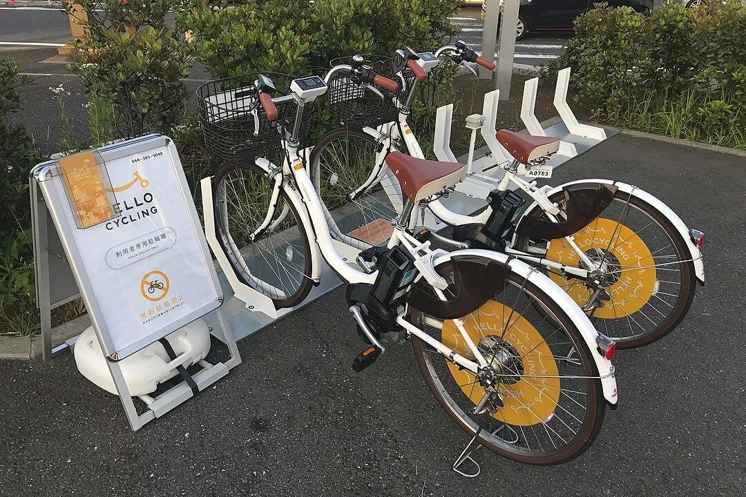 No entanto, apenas um século depois, nos anos 1990, as bicicletas elétricas passaram a se popularizar, graças ao desenvolvimento de baterias mais potentes. Em países da Europa e da Ásia o uso já é bem mais comum que no Brasil. 
