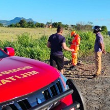 Cadela chama atenção e ajuda a encontrar idoso desaparecido há dois dias - CBMMG