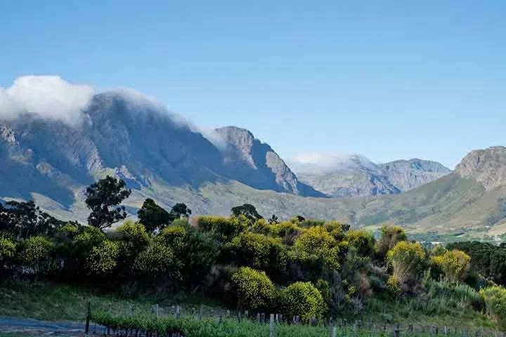 Franschhoek, a cerca de 50 km da Cidade do Cabo, dá aos visitantes a possibilidade de degustar uma vasta gama de vinhos para acompanhar a cozinha francesa refinada e visitar domínios vinícolas como o de Boschendal.