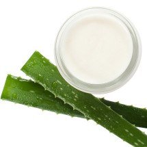 Conheça a babosa (aloe vera), suas utilidades e contraindicações