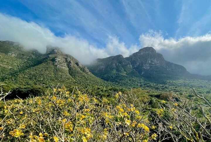 Outro lugar inspirador Ã© a Kirstenbosch Botanical Gardens, com vÃ¡rias espÃ©cies de plantas. 