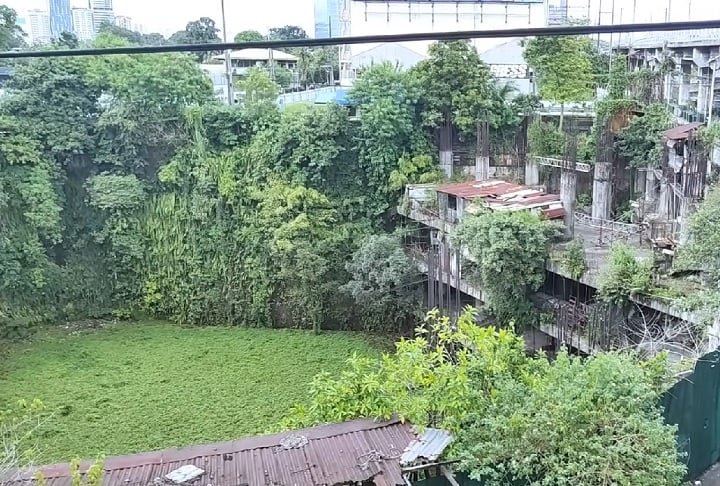 Hoje coberto por musgos, o arranha-céu teve um custo estimado de US$ 85 milhões (aproximadamente R$ 485,35 milhões).