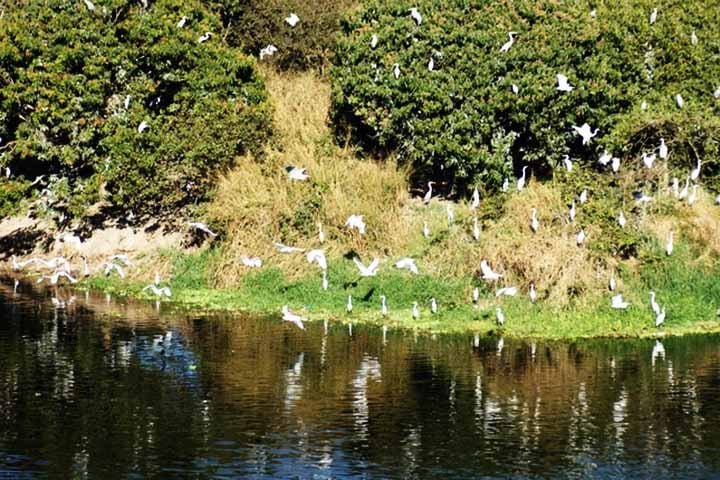 O Projeto Tietê, iniciado em 1992 pela Sabesp (Companhia de Saneamento Básico do Estado de São Paulo), é um dos principais programas de recuperação do rio. 