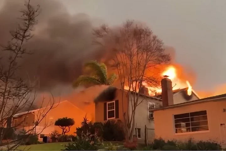 Entenda por que casas de madeira são tão comuns nos EUA