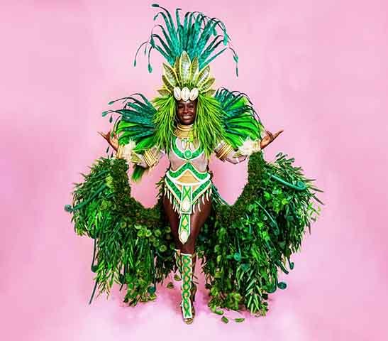 As plumas são materiais nobres utilizados em fantasias de carnaval, principalmente por passistas, musas e destaques. As plumas podem ser de animais como faisões, galos, pavões, gansos e cisnes (de forma artificial).