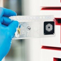 ANS inclui teste para meningite e encefalite no rol - DINO