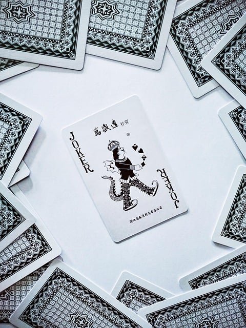 Esta versatilidade, que permite ao Coringa ocupar diversos papéis no jogo, fez dele uma figura única não só em jogos de cartas, mas também em outras áreas, como no esporte, na informática e, eventualmente, no universo dos quadrinhos e filmes.