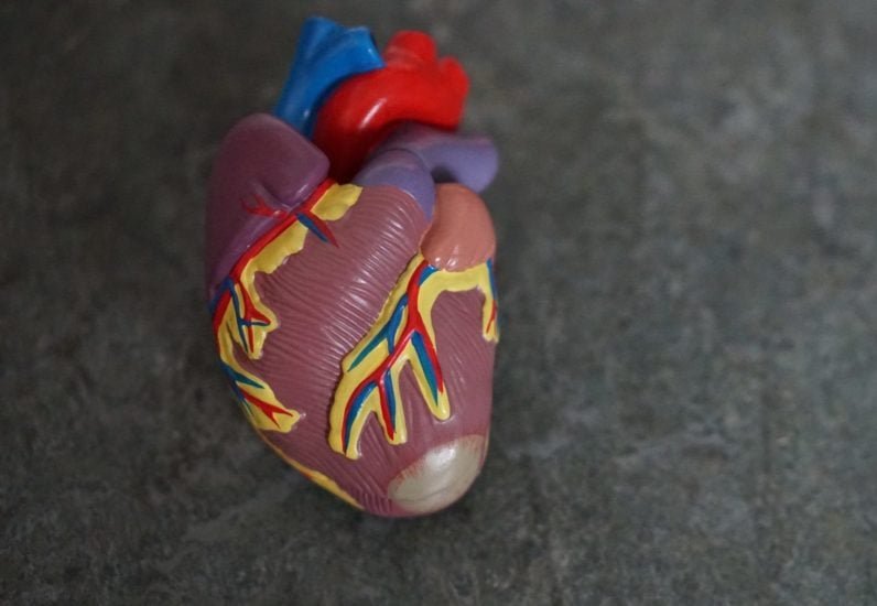 Estudos também sugerem que o consumo de romã pode ajudar a reduzir a pressão arterial, um dos principais fatores de risco para ataques cardíacos e derrames.