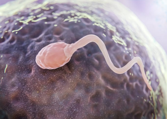Uma mulher norte-americana de 30 anos descobriu que estava com um parasita no cérebro depois de voltar de uma viagem de três semanas pela Tailândia, Japão e Havaí.-freepik