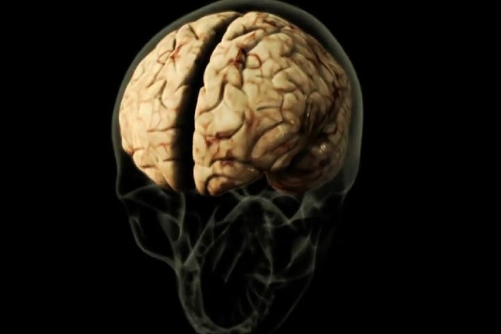 Apesar de não ser detectado diretamente no sangue, traços genéticos do parasita foram identificados no líquido cerebrospinal. -reprodução