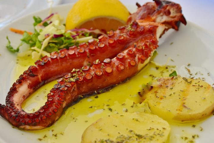 Para prevenir a contaminação, recomenda-se cozinhar bem os moluscos, usar luvas ao manuseá-los e lavar bem os vegetais.--Rita-????????? und ???? mit ?/Pixabay