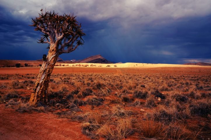 O turismo Ã© uma indÃºstria crescente na NamÃ­bia, com o paÃ­s atraindo visitantes de todo o mundo para suas paisagens naturais, sua rica histÃ³ria e sua cultura vibrante.