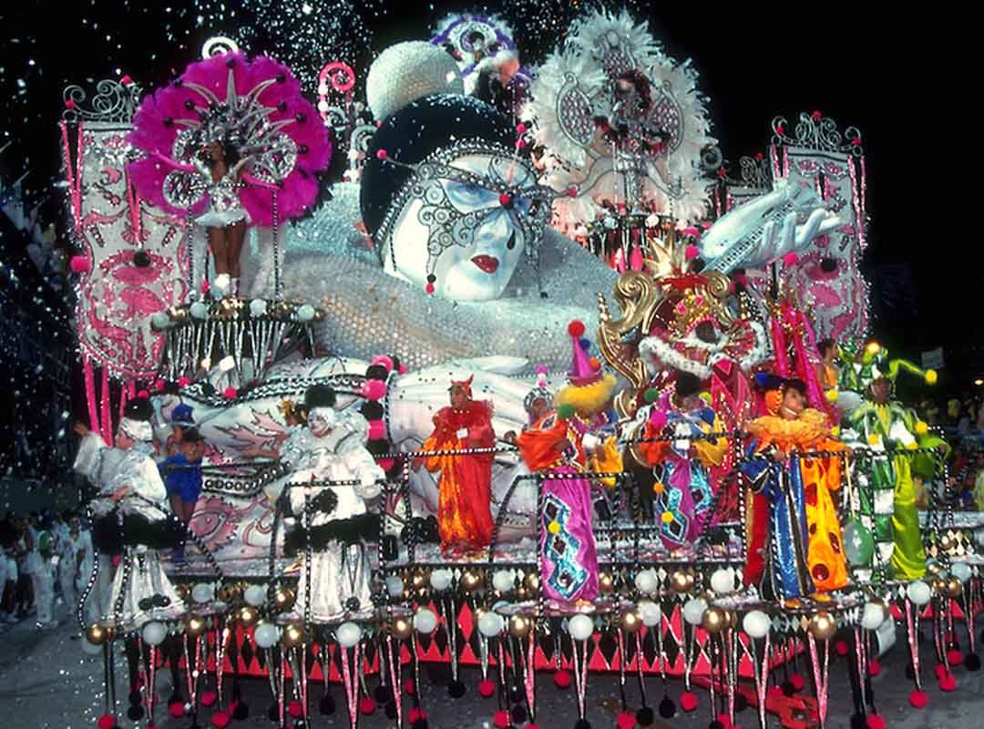 Entre os materiais mais utilizados, temos tecidos, lantejoulas, penas artificiais, esculturas, plumas, paetês, isopor, fibra de vidro e luzes. 