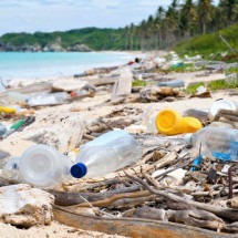 Turista Consciente: movimento quer reduzir lixo nas praias - DINO