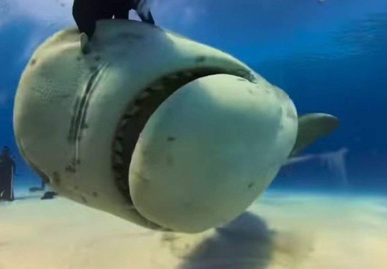 Reprodução/Instagram (@andrea_ramos_nascimento)