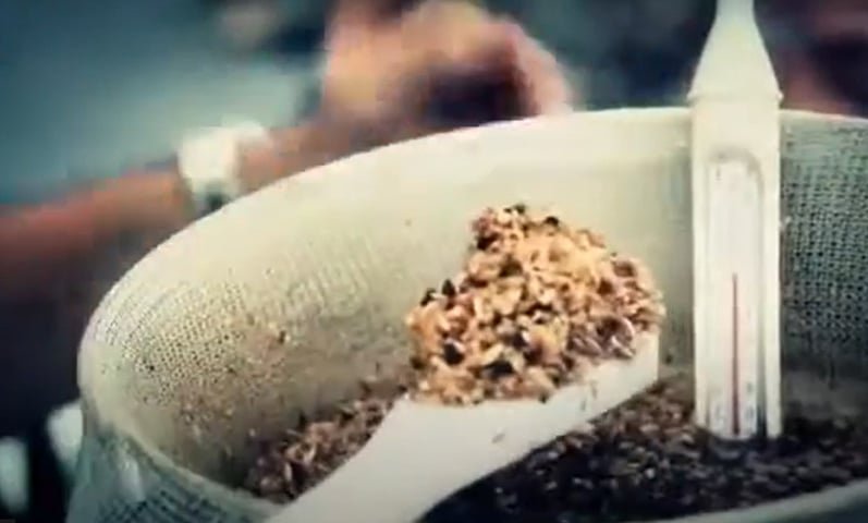 Cerveja de formiga - Lamas - A ideia de juntar saÃºvas Ã  fÃ³rmula se deve ao sabor cÃ­trico das formigas. TambÃ©m recebe figo e tucupi negro. 