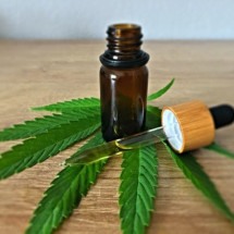 Entre avanços e mitos: entenda sobre o uso da cannabis medicinal no Brasil - CBD Infos Unsplash