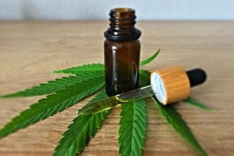 Entre avanços e mitos: entenda sobre o uso da cannabis medicinal no Brasil