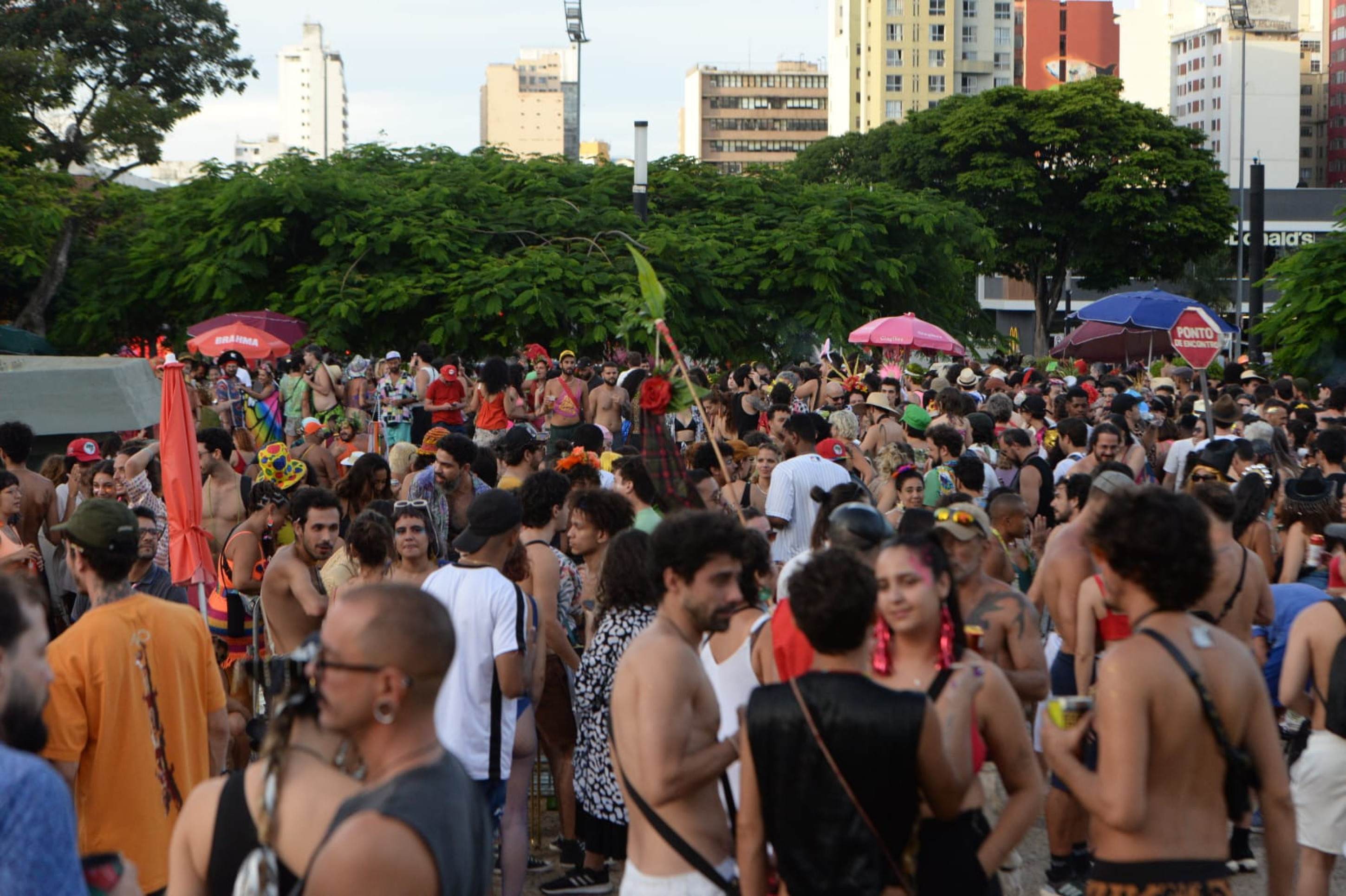 Foliões lotaram a Praça Raul Soares, no Centro de BH, na tarde deste sábado de carnaval 