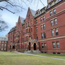 Profissões que dão nos nervos e causam infelicidade - Somesh Kesarla Suresh Unsplash