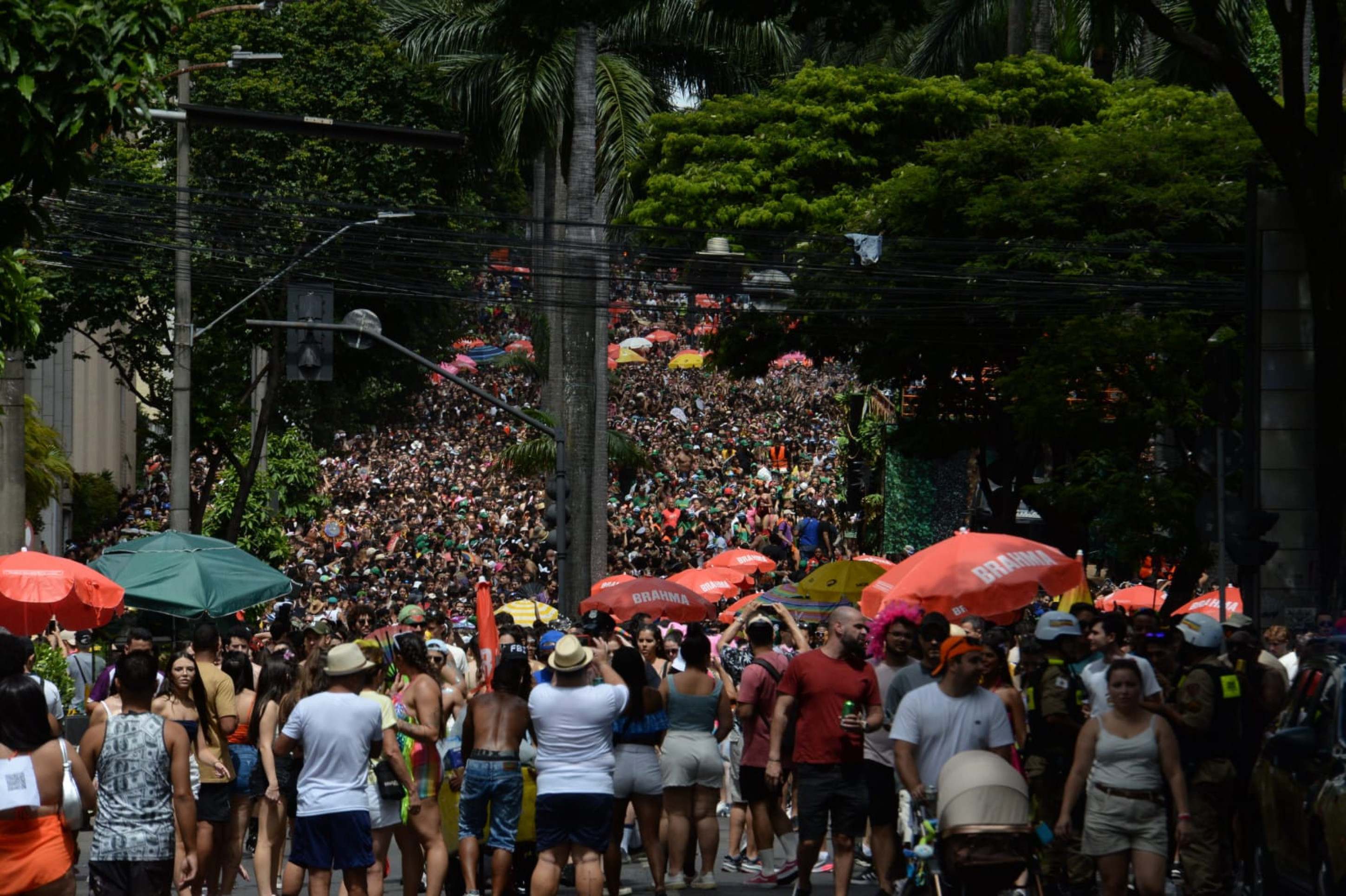 Na sua segunda edição o bloco arrastou milhares de foliões na Av Brasil neste domingo-Tulio Santos/EM/DAPRESS